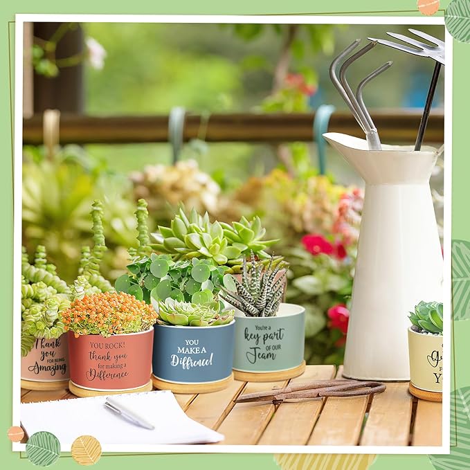 10 Pcs Thank You Gift Employee Appreciation Gift Succulent Pots Mini Ceramic Plant Pot with Bamboo Tray Succulent Planter for Coworker Employee Vet Tech Medical Assistant, Plant Excluded