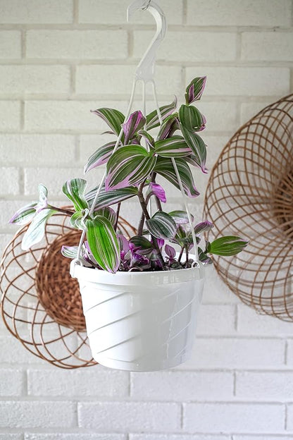 The HC Companies Euro Hanging Basket Planter Decorative 10-Inch Large Plastic Hanging Basket w/Swirl Design for Outdoor Plants, Green