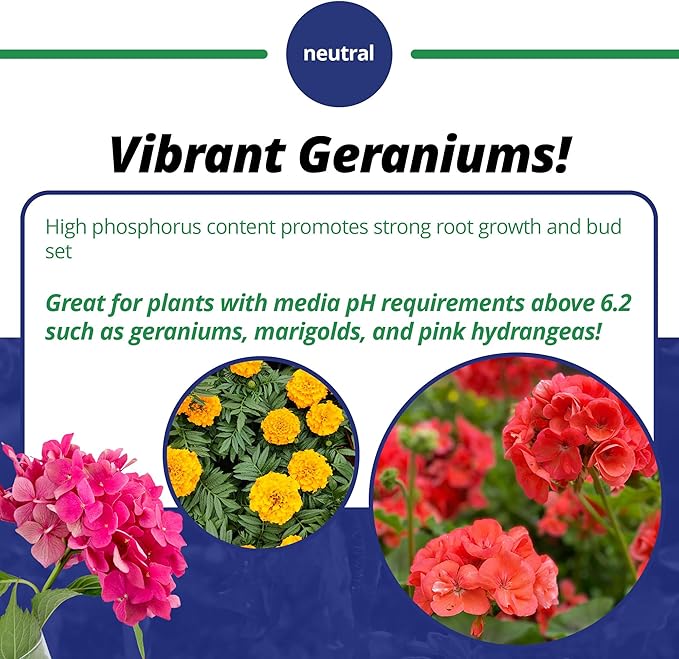 Jack's Professional 15-15-15 Geranium Water-Soluble Fertilizer with Micronutrients for Root Growth and Bud Set in Geraniums Grown in Continuous Liquid Feed Programs, 25lbs
