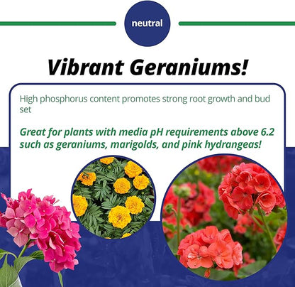 Jack's Professional 15-15-15 Geranium Water-Soluble Fertilizer with Micronutrients for Root Growth and Bud Set in Geraniums Grown in Continuous Liquid Feed Programs, 25lbs