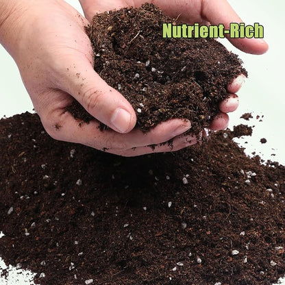Organic Avocado Tree Potting Soil Mix 4qt, Enhance Growth and Transplant Success for Avocado Plants