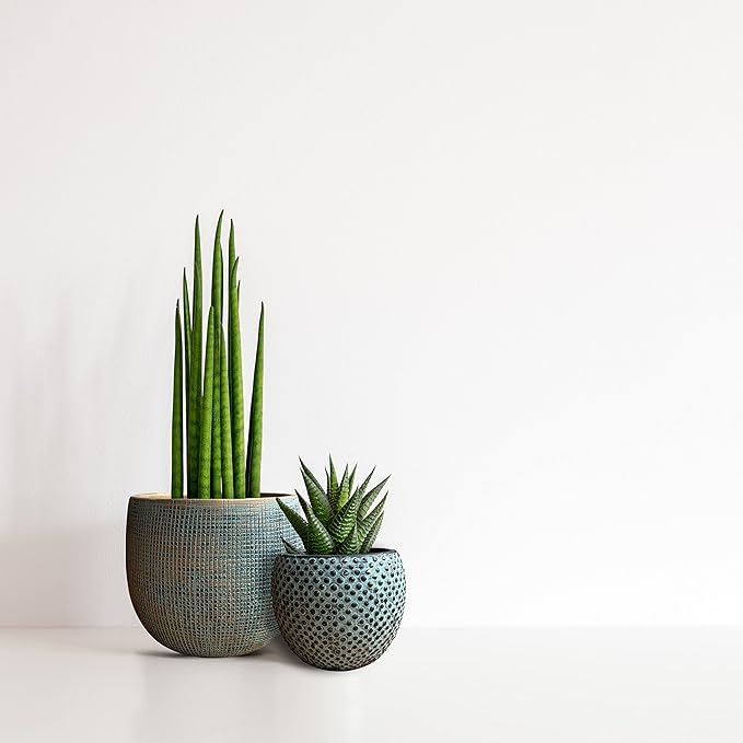 Olly & Rose Bali Ceramic Green Gold Plant Pot Set 2-6.8" and 5.5" Indoor Planters Cement Outdoor Flower Pots