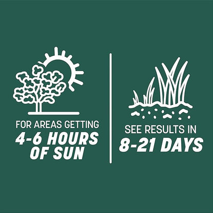 Pennington Smart Seed Sun and Shade Tall Fescue Grass Seed Mix for Southern Lawns 3 lb