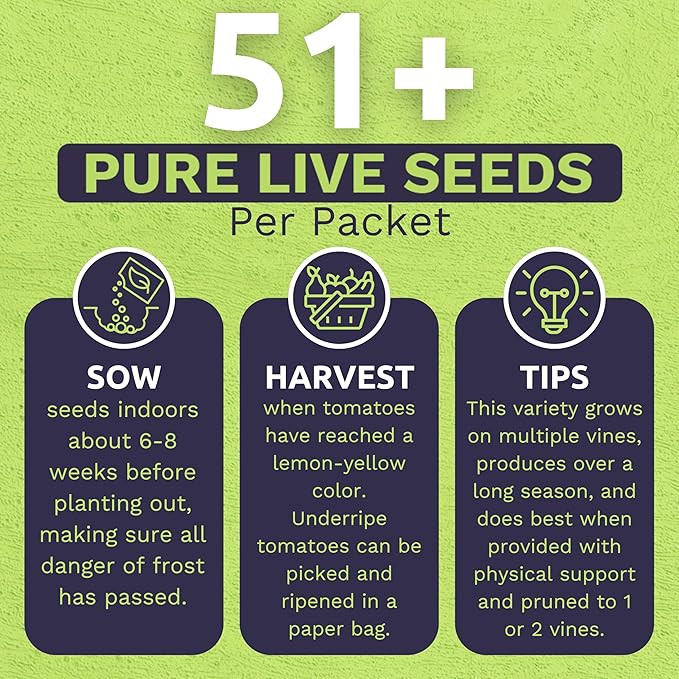 Organic San Marzano Tomato Seeds – Two Seed Packets! – Over 102 Open Pollinated Heirloom Non-GMO Seeds – Sweet Yards Seed Co.