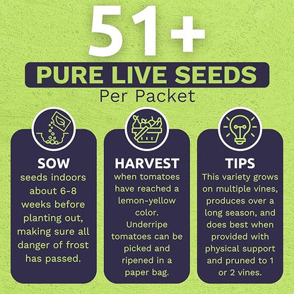 Organic San Marzano Tomato Seeds – Two Seed Packets! – Over 102 Open Pollinated Heirloom Non-GMO Seeds – Sweet Yards Seed Co.