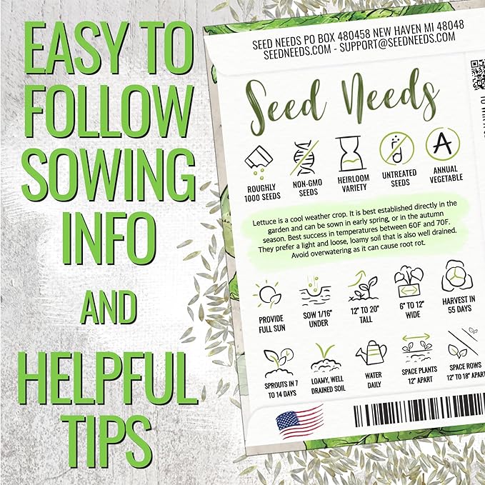 Seed Needs Romaine Lettuce Seeds for Planting Parris Island COS - Non-GMO Heirloom & Untreated Annual Cool Weather Crops - Grow a Home Grown Outdoor Vegetable Garden (2 Packs)