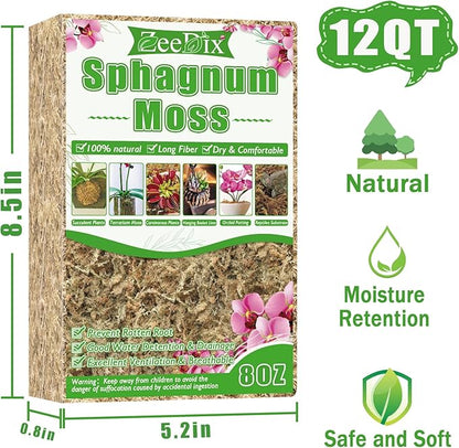ZeeDix 8 oz Sphagnum Moss for Indoor Plants, Natural Orchid Potting Mix for Repotting, Dried Long Fiber Sphagnum Peat Moss for Carnivorous Plants Succulents Reptile Habitats (Expands to 12 qt)