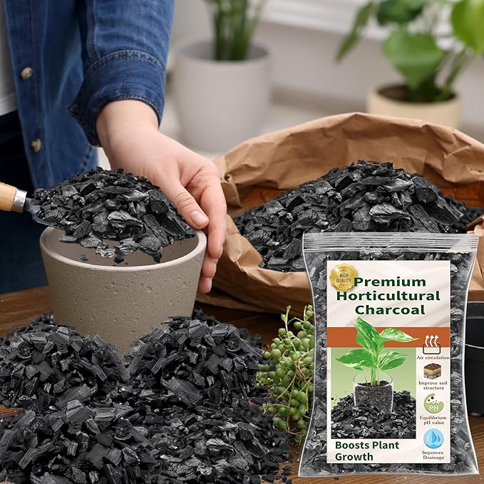 Horticultural Charcoal for Plants,2QT Premium Activated Charcoal for Indoor and Outdoor Plants,Ideal for Soil Amendment, Orchids,Succulent,Cactus, Terrariums & Gardening