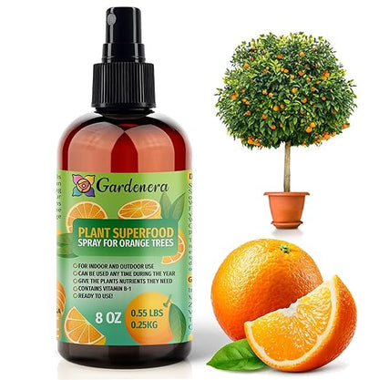 𝐁𝐄𝐒𝐓𝐒𝐄𝐋𝐋𝐄𝐑 Plant Superfood for Orange Tree with B1 Vitamin, Glucose and Essential Minerals - Organic Plant Food Fertilizer for Indoor & Outdoor Orange Trees Care - 8oz