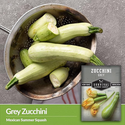 Survival Garden Seeds - Grey Zucchini Seed for Planting - 5 Packs with Instructions to Plant and Grow Mexican Summer Squash in Your Home Vegetable Garden - Non-GMO Heirloom Variety - Garden Plant Seed