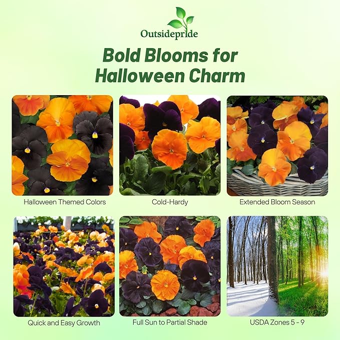 Outsidepride Panola Halloween Mix Viola Pansy Seeds for Planting - 50 Pcs. Biennial, Cold-Hardy & Pollinator Friendly Flowers with Fragrant Blooms for Garden Beds, Borders & Container Displays
