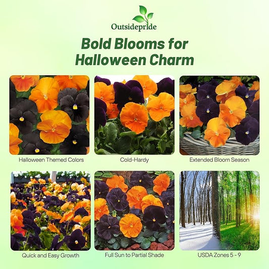 Outsidepride Panola Halloween Mix Viola Pansy Seeds for Planting - 50 Pcs. Biennial, Cold-Hardy & Pollinator Friendly Flowers with Fragrant Blooms for Garden Beds, Borders & Container Displays