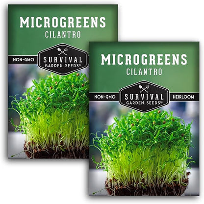 Cilantro Microgreen Seeds for Planting – Non-GMO Heirloom Cilantro Seeds to Grow Fresh, Flavorful Microgreens – Indoors or Hydroponic – Fast Germination– Survival Garden Seeds (2 Packs)