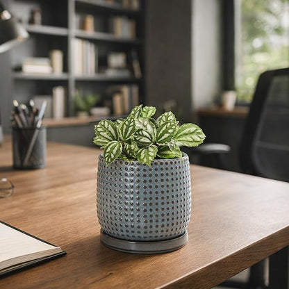 D'vine Dev 4 Inch Ceramic Beaded Stoneware Planter Pot - Flower Pot with Drainage Holes and Saucers for Indoor Succulent Plants or Flowers, Graphite Blue, 27-C-Z-9