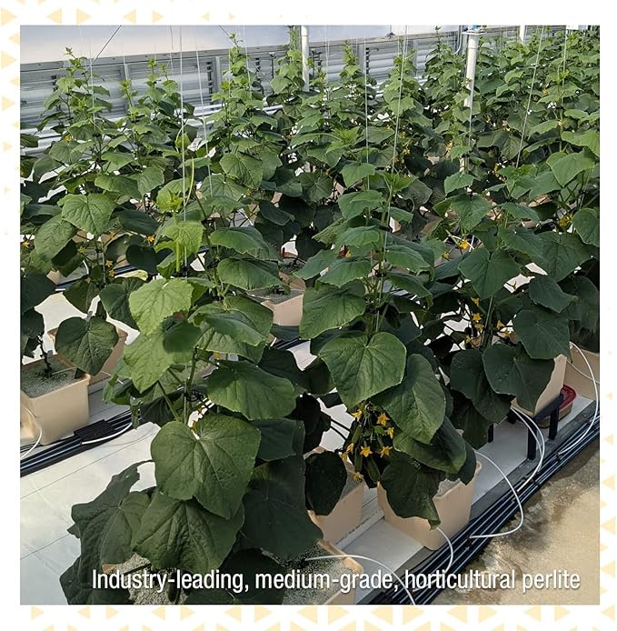 Perlite+ Silica - Promotes Strong Plants - Used for Hydroponic Growing Systems, Transplanting, and Potting Soil (3 CF)