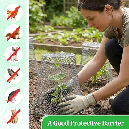 Therwen 6 Pcs Large Chicken Wire Cloche Plant Protector Cover 11x12 Inch Metal Garden Cloche Dome for Plants Wire Protection Basket with Garden Stakes Plant Cages from Animals (Silver)