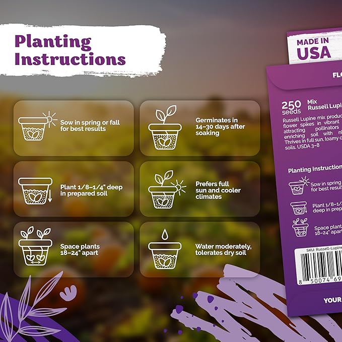 KVITER 250 Mix Russell Lupine Seeds Perennial (Lupinus polyphyllus) - Heirloom & Non GMO Lupine Seed Packets, Pollinator Friendly Wildflowers Mix - Flower Seeds for Planting in Garden, Beds & Meadows