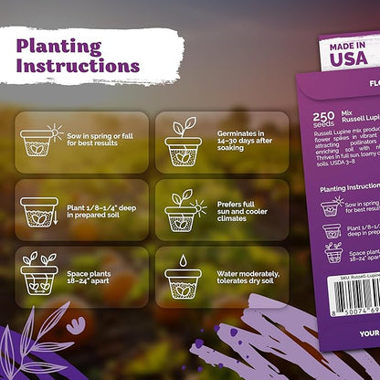 KVITER 250 Mix Russell Lupine Seeds Perennial (Lupinus polyphyllus) - Heirloom & Non GMO Lupine Seed Packets, Pollinator Friendly Wildflowers Mix - Flower Seeds for Planting in Garden, Beds & Meadows