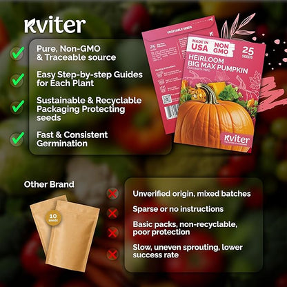 KVITER 25 Big Max Pumpkin Seeds for Planting (Cucurbita Pepo) – Giant Heirloom & Organic Pumpkin Seeds, Up to 100 lbs – Ideal Vegetable Seed Packets for Home Outdoor Garden