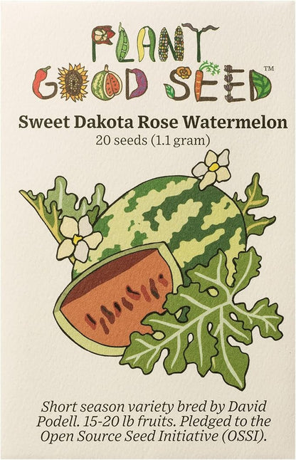 Plant Good Seed Organic Sweet Dakota Rose Watermelon Seeds for Planting: Fast Growing, Appropriate for Cooler Summer Climates, 15-20 Pound Fruits - 20 Seed Packet