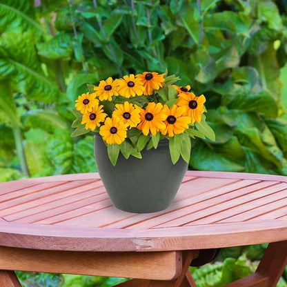 Sunnydaze Round Ceramic Planter - Set of 2 Indoor or Outdoor Plant Pots with Drainage Hole - Chalet - 12" - Gray Glaze