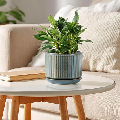 Green Ceramic Plant Pots Set of 3, 4.3+5.5+6.7 Inch Indoor Flower Pots with Drainage Hole & Saucer & Hole Mesh Pads, Striped Decorative Planter Set for Indoor Plants, Gardening Pots & Accessories