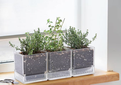 D'vine Dev 4 Inch Herb Planter Pot, Plastic Planter with Drainage Holes and Saucer, Modern Decorative Gardening Pot for Indoor Plants, Flowers, Herbs, Succulents, Clear, Set of 3, 76-Y-D-3