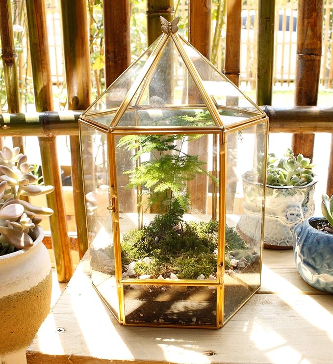 ELEGANTLIFE Glass Geometric Plant Terrarium,Succulent & Air Planter for Home Garden Office Decoration,No Plants(Gold Hexagonal)