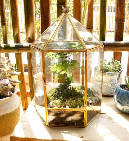 ELEGANTLIFE Glass Geometric Plant Terrarium,Succulent & Air Planter for Home Garden Office Decoration,No Plants(Gold Hexagonal)