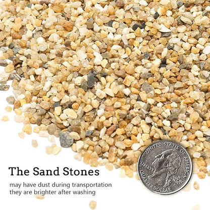 Coarse Sand Stone - Succulents and Cactus Bonsai DIY Projects Rocks, Decorative Gravel for Plants and Vases Fillers，Terrarium, Fairy Gardening, Natural Stone Top Dressing for Potted Plants.1.6lb