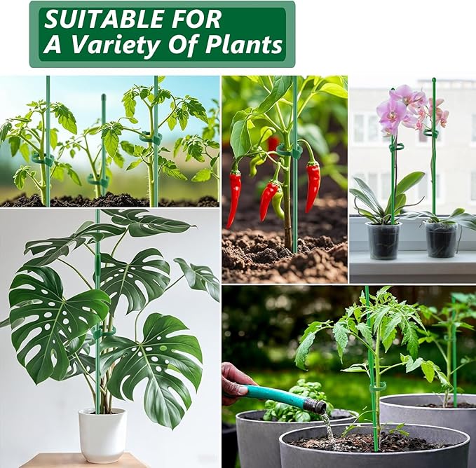 Plant Stakes for Indoor Plants,Toylin 15 Inch Plant Support Stick Orchid Stakes with Spikes and Clips, Plant Poles Extended to 3/4/5ft for Monstera Tomato Orchid Potted Plants Flower (12PCS Green)