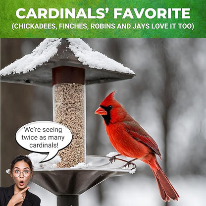 Nature Anywhere Safflower Supreme Bird Seed for Outside Feeders - Made in USA - Clean Premium Quality Wild Birds Food - Hi Protein Bird Feed - No Fillers