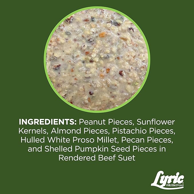 Lyric Fine Tunes No Waste Wild Bird Seed Suet Cakes for Wild Birds, 9 lb (Pack of 1)