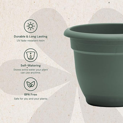 Bloem Ariana 6" Basil Round Self-Watering Resin Planter Pot - Rolled Rim Indoor and Outdoor Gardening Planter