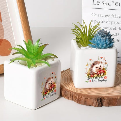 Hedgehog Succulent Planter Flower Plant Pot Small, Gifts for Women Teens Girls Kids, Hedgehog Lovers Themed Stuff Accessories Things Decor Merch, Home Office Table Desk Decoration!