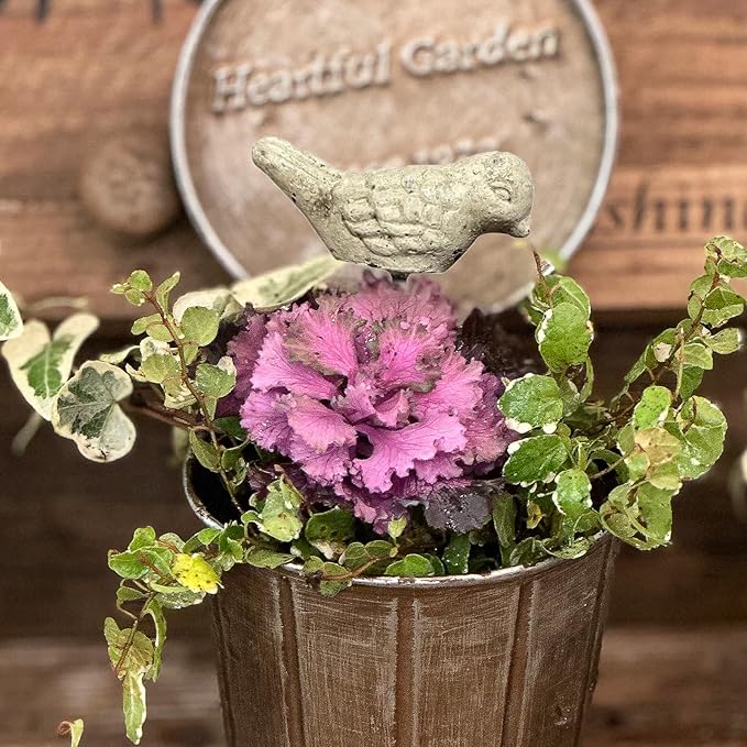 MUAMAX 2 Pcs Miniature Bird Decorative Stakes Mini Bird Picks Figures Fairy Garden Accessories Succulent Plant Flower Pots Decor Bonsai Ornaments Micro Landscapes Decor