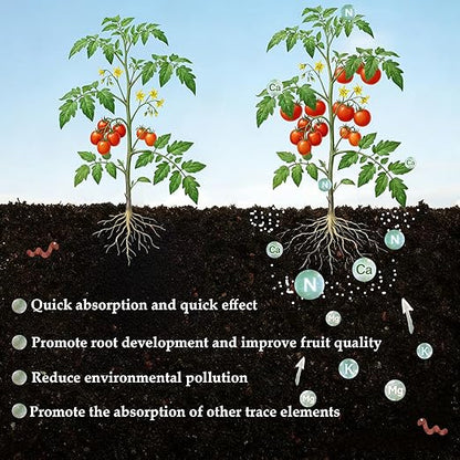 2LB Calcium Nitrate Fertilizer, 15-0-0 Nitrogen Fertilizer with Calcium, Indoor Plant Fertilizer, Plant Food for Houseplants, Lawn, Vegetable, Trees, Boost Stem & Leaf Growth, Improves Root Health