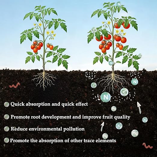 6LB Calcium Nitrate Fertilizer, 15-0-0 Nitrogen Fertilizer with Calcium, Indoor Plant Fertilizer, Plant Food for Houseplants, Lawn, Vegetable, Trees, Boost Stem & Leaf Growth, Improves Root Health