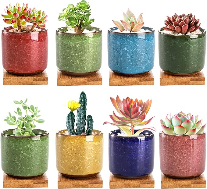 Lawei 8 Pack 2.5 Inch Mini Succulent Plant Pot with Drainage and Bamboo Tray, Small Ceramic Cactus Plant Pot, Flower Pots Faux Plants Containers for Home Garden Office Decoration(Plants NOT Included)