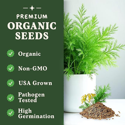 Seedboy Organic Dill Seeds for Planting Indoor and Outdoor, Non-GMO and USDA Certified Herb Seed Packet for Hydroponic Garden Indoor or Planting Outdoors (Bouquet Dill)