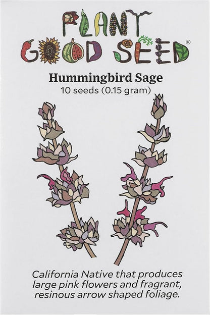 Plant Good Seed Organic Hummingbird Sage Seeds for Planting: California Native, Pink Fuchsia Flowers - 10 Seed Packet