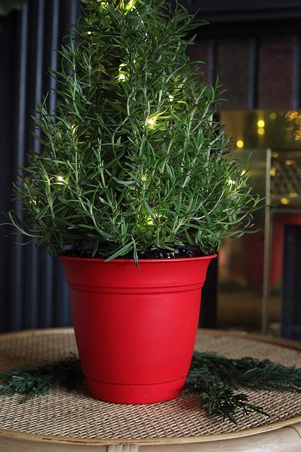 The HC Companies 8 Inch Eclipse Round Planter with Saucer - Indoor Outdoor Plant Pot for Flowers, Vegetables, and Herbs, Strawberry Red (Pack of 2)