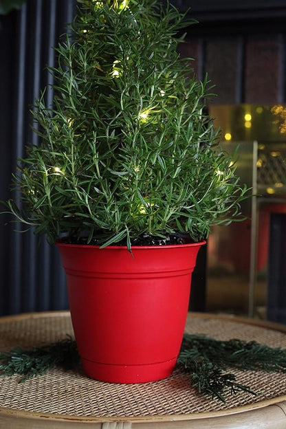 The HC Companies 8 Inch Eclipse Round Planter with Saucer - Indoor Outdoor Plant Pot for Flowers, Vegetables, and Herbs, Strawberry Red (Pack of 2)