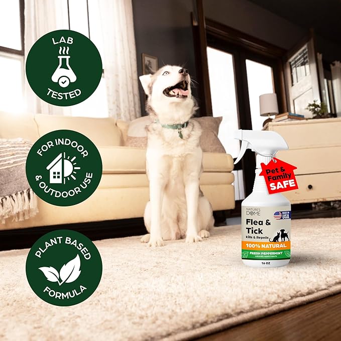 Nature’s Dome Peppermint Flea & Tick Spray – 16 oz – Kills & Repels Fleas, Ticks, Larvae & Eggs – Plant-Based Pest Control – Safe for Pets, Kids & Plants – Ready-to-Use (16 Oz, Peppermint)