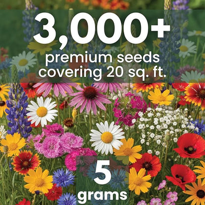 Northeast Natives Mix – 3,000 Seeds for Planting – 2026 Season – 5 Gram Pouch