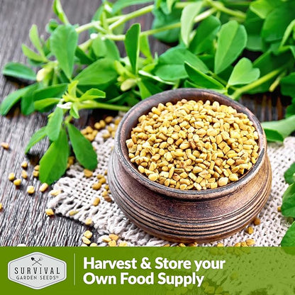 3 Packs Fenugreek Seed for Planting with Instructions to Grow Samudra Methi in Your Home Vegetable Garden - Non-GMO Heirloom - Good Microgreens or Sprouts - Survival Garden Seeds