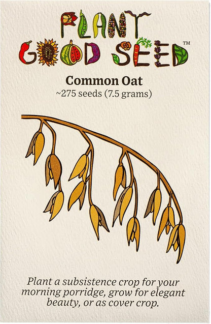 Plant Good Seed Organic Common Oat Seeds for Planting: Cover Crop, Whole Hull Grains - 275 Seed Packet