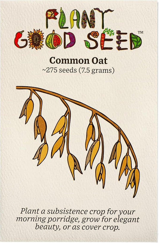 Plant Good Seed Organic Common Oat Seeds for Planting: Cover Crop, Whole Hull Grains - 275 Seed Packet