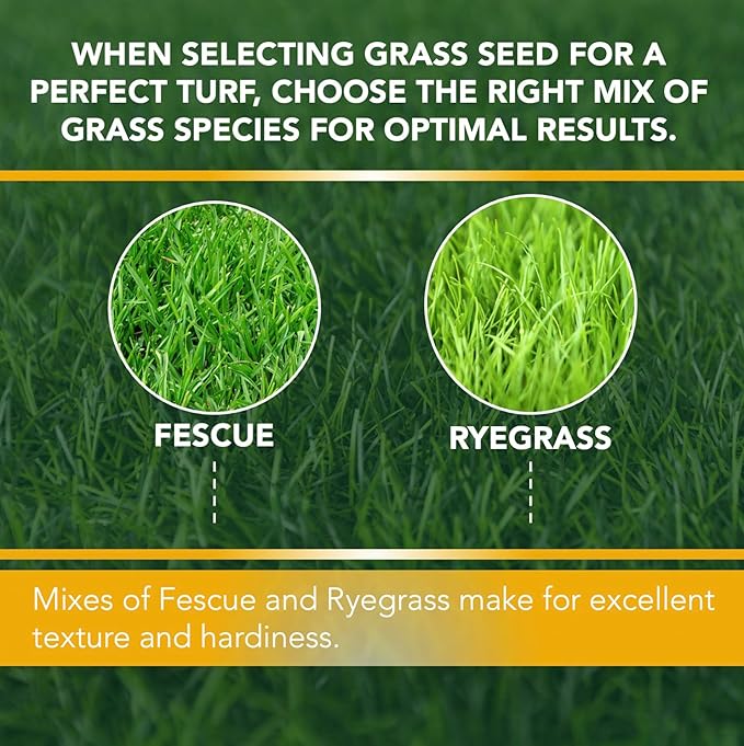 Contractors Choice Grass Seed - Premium Grass Seeds for Lawn - Ideal for Full Sun and Shade - 10 lb Grass Seed