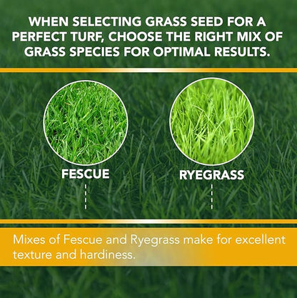 Contractors Choice Grass Seed - Premium Grass Seeds for Lawn - Ideal for Full Sun and Shade - 25 lb Grass Seed